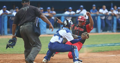 Hoy, sexto juego Leones vs. Avispas en play off beisbolero